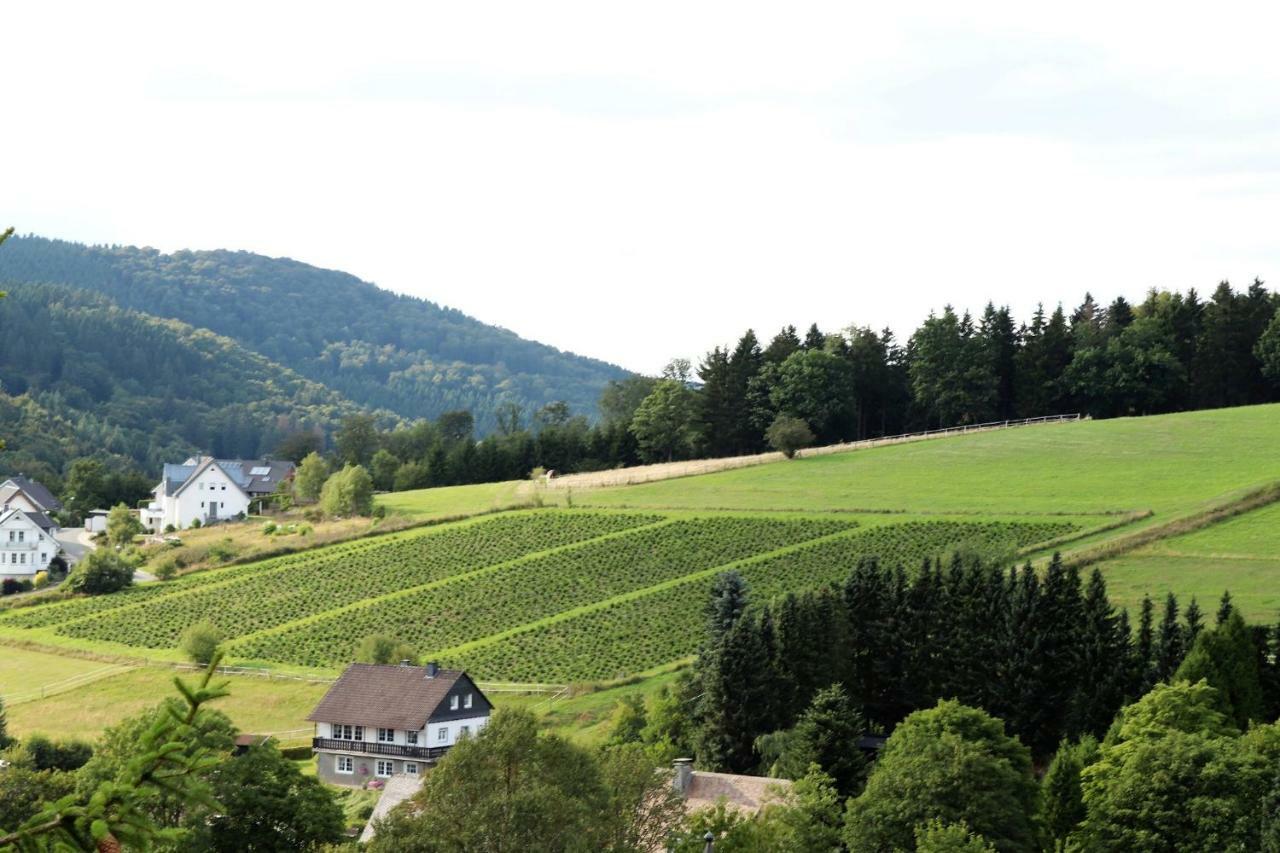 Gretel Von Birne Hotell Winterberg Eksteriør bilde